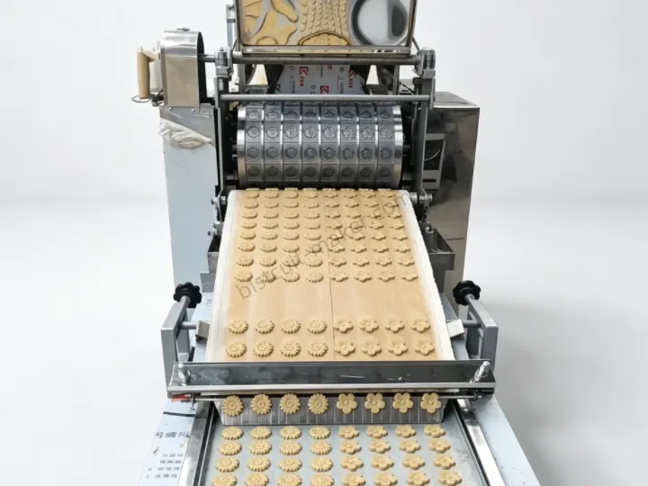 Taizy rotary moulder biscuit making machine producing flower shape crisp cookies